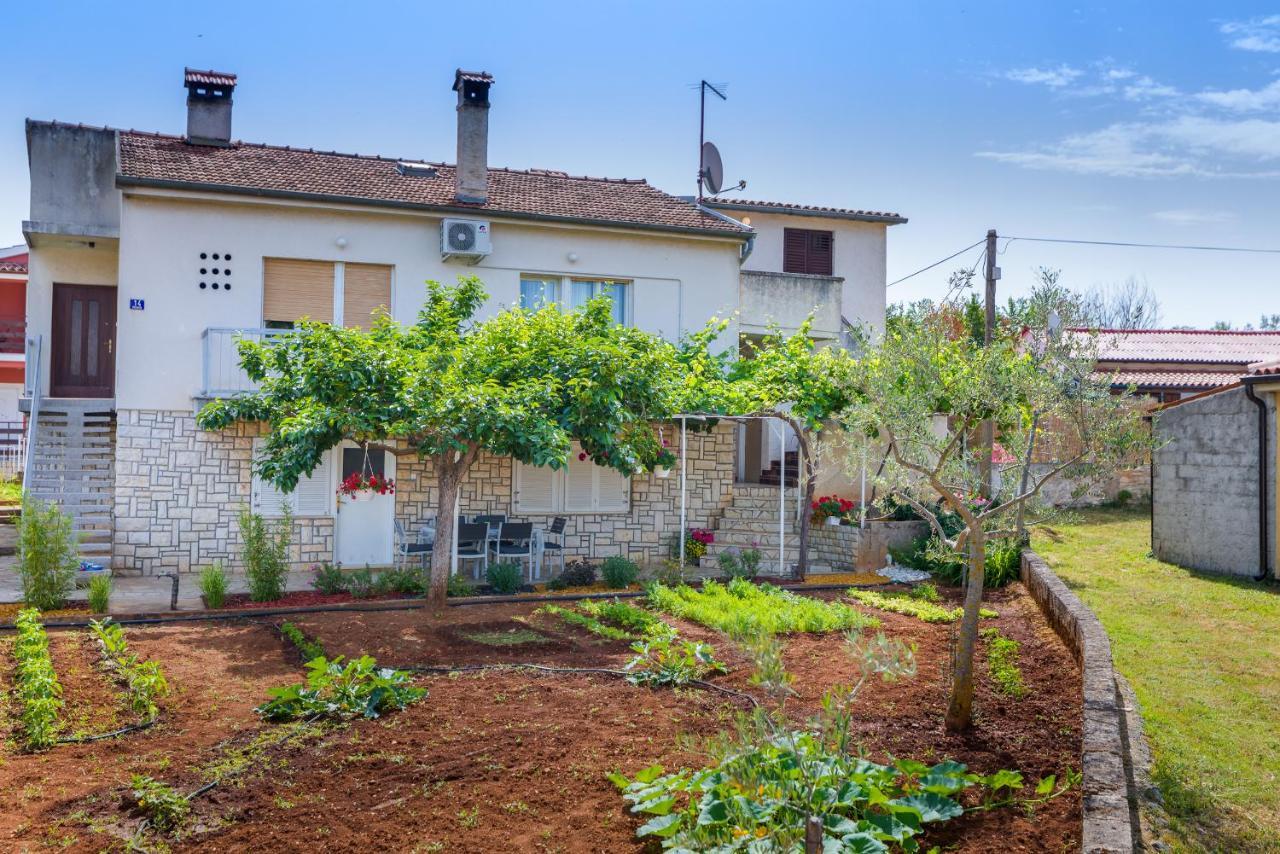 Tesic Close To The Sea With Shared 4xbicycles *