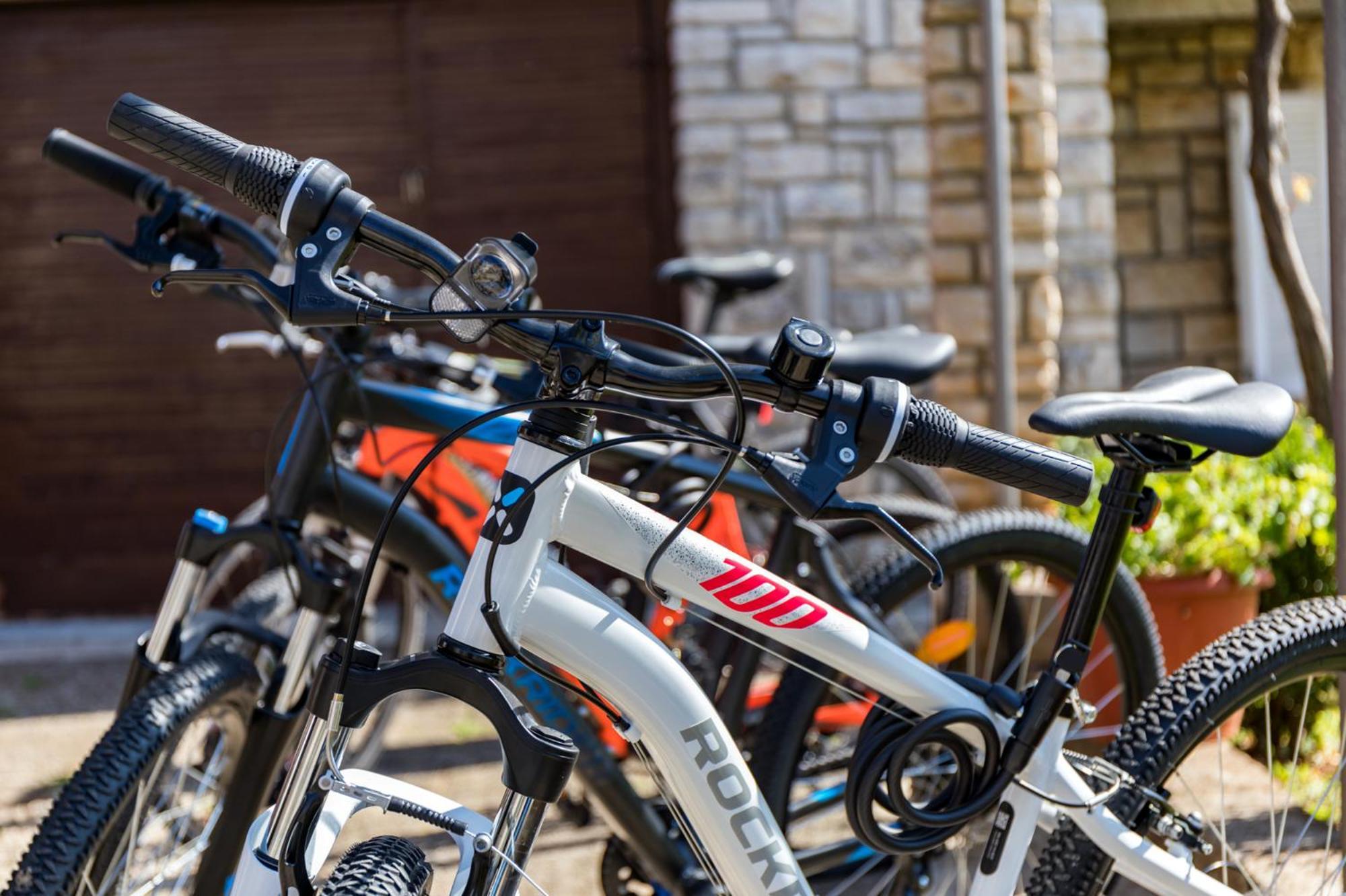 Tesic Close To The Sea With Shared 4xbicycles Apartament