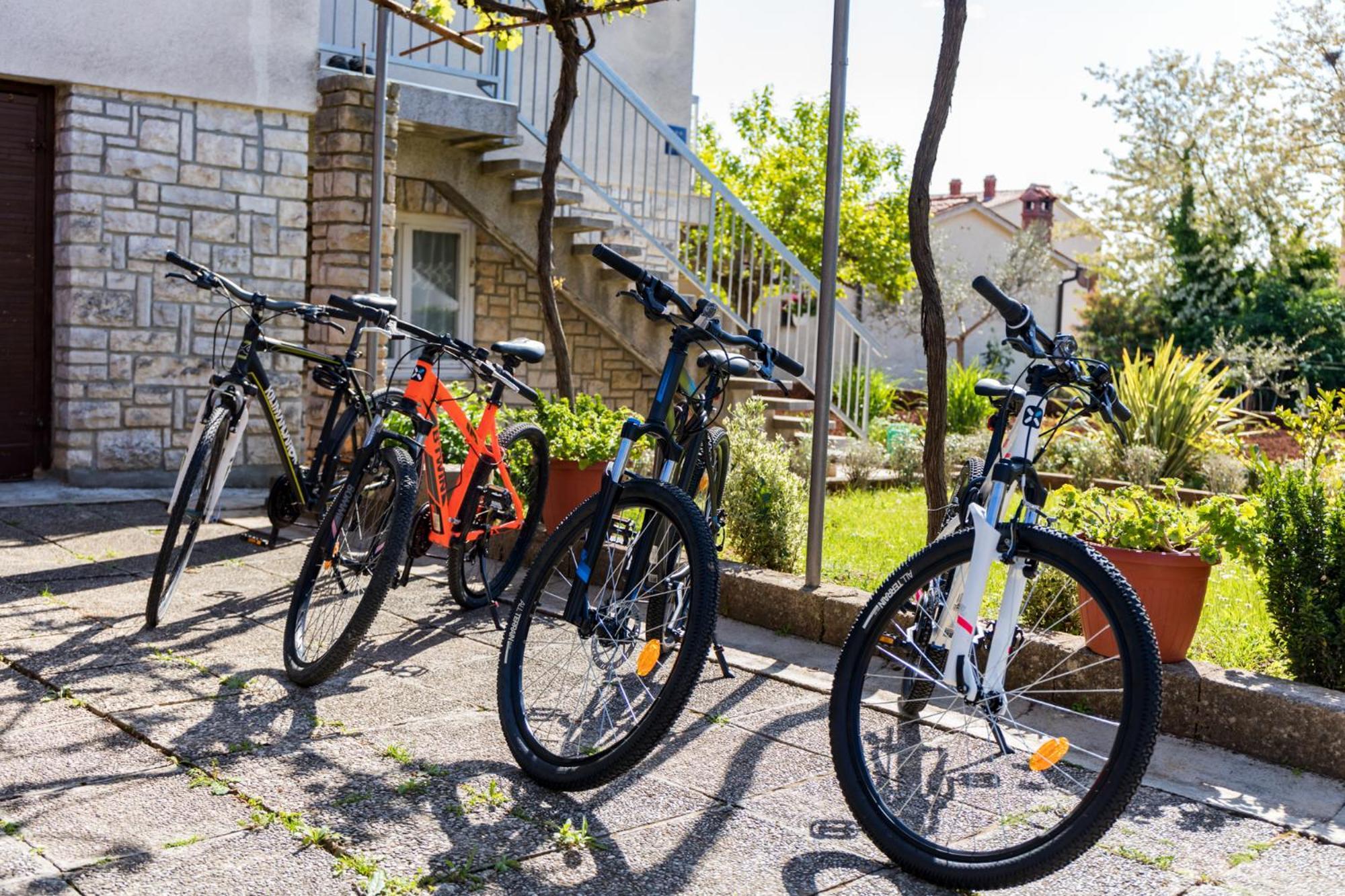 Apartament Tesic Close To The Sea With Shared 4xbicycles